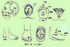 十三鬼穴位置|鬼门十三针